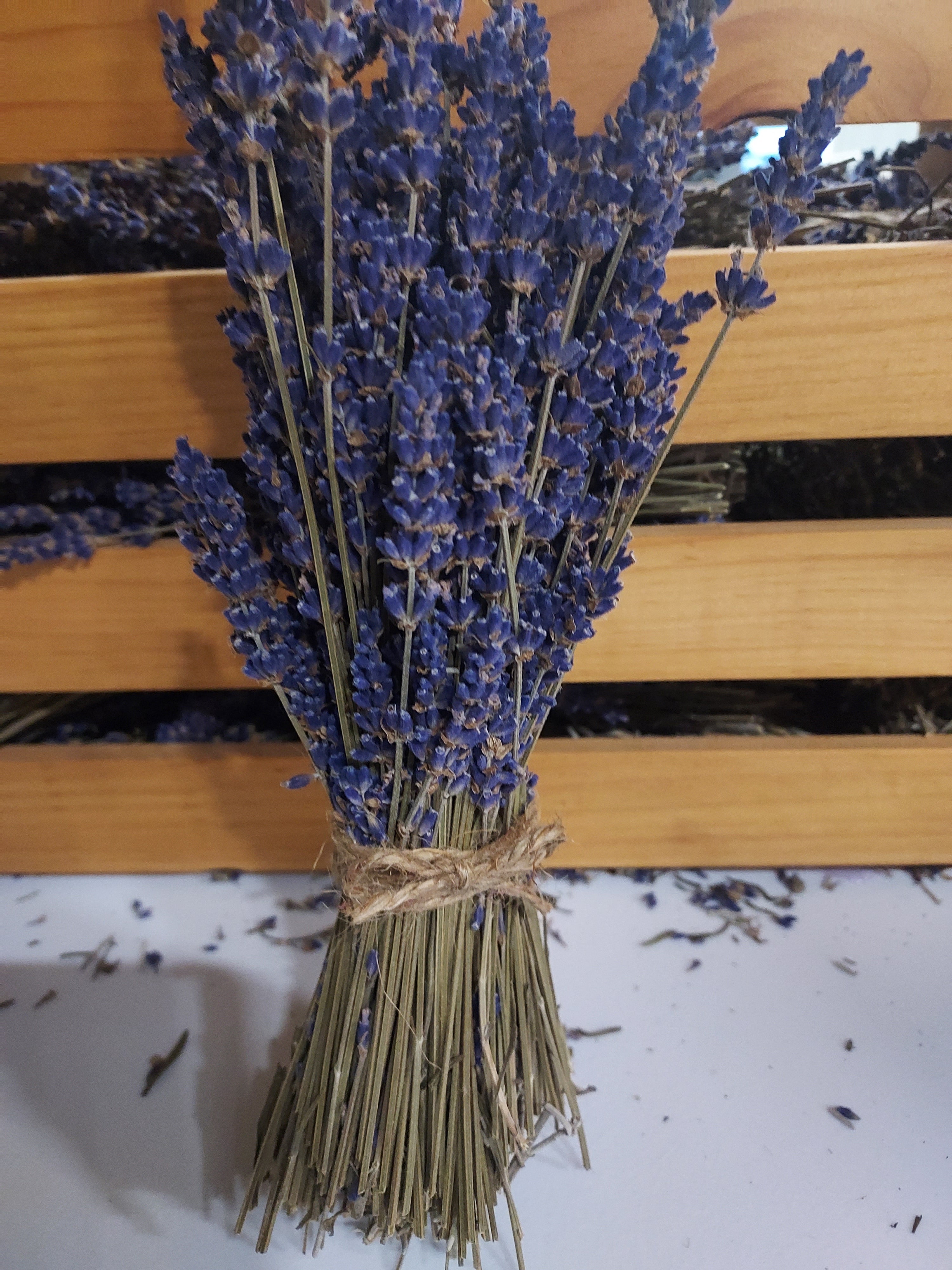 750 STEMS of Dried English Lavender 8-12 Long Bulk Lavender Stems